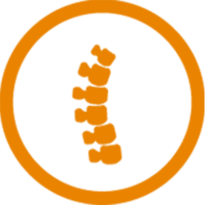 image spine